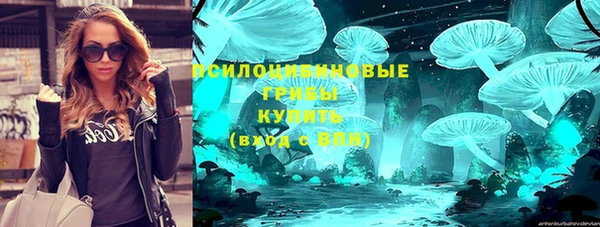 стаф Волоколамск