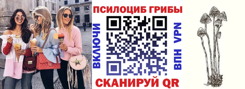 Галлюциногенные грибы ЛСД  Новотитаровская 